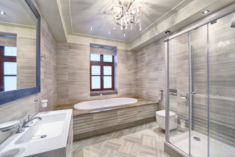 Modern Tub Area